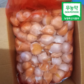 [산지직송] 국산 코끼리 생 마늘 식용 햇마늘 대왕마늘 1kg 2kg 3kg 10kg 코끼리통마늘 코끼리마늘 생코끼리마늘 코끼리마늘판매 코끼리마늘햇마늘, 5kg, 1개