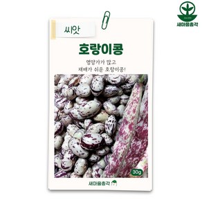 다농 호랑이콩씨앗 30g 강낭콩 씨 종자, 1개