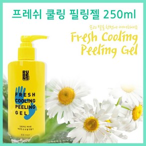 1+1) 루벤스 프레쉬 쿨링 필링젤 -250ml (교차가능)/ 각질제거/풋케어/풋스크럽/발냄새관리/내성발톱관리/발관리/발각질관리/고네일, 스프레이+필링젤, 1개, 2개