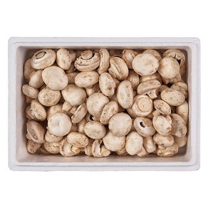 부여 못난이 양송이 버섯, 1박스, 1kg
