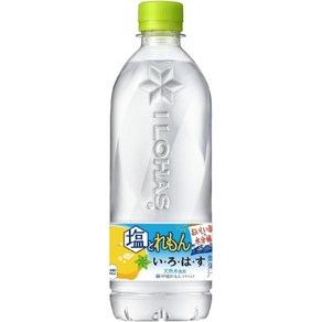 이로하스 소금과 레몬 일본 음료 540ml PET 24개