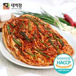 새벽팜 보쌈김치 국내산 100% 전라도김치 당일제조 참매실 새벽김치, 5kg, 1개