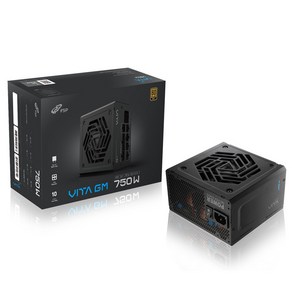 FSP VITA GM 750W 80PLUS Gold ATX 3.1 파워서플라이, VITA-750GM(블랙)