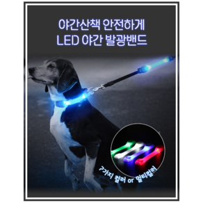 애견 LED 목걸이 강아지 산책야광목걸이