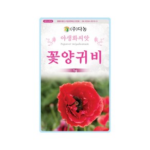 (DN) 꽃양귀비 씨앗(1g), 1개