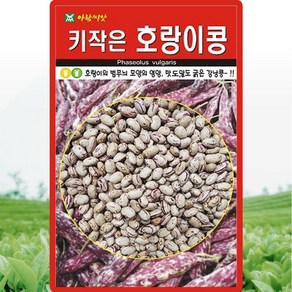 아람종묘 키작은 호랑이콩 씨앗 30g 비넝쿨 강낭콩씨 종자, 1개