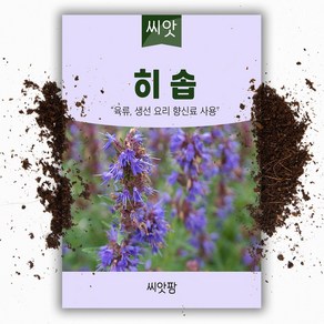 씨앗팜 허브 히솝 씨앗 (200립), 1개