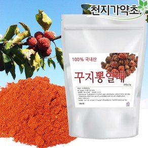 국산 꾸지뽕열매분말 구지뽕열매 꾸지뽕나무 열매가루 꾸지뽕분말, 300g, 1개