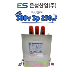 은성산업 저압진상콘덴서 380v 3상 250마이크로페럿, 1개