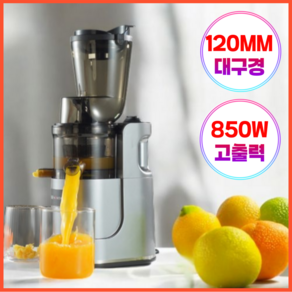 수디어 자동 착즙기 가정용 야채 과일 주스 원액기 분리 저속 저소음 과즙기 쥬서기, 실버