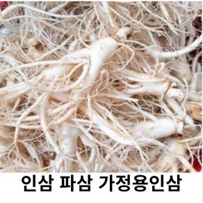 금산 인삼 파삼 못난이 인삼 1kg 세척파삼 세척인삼 파삼가정용 5년근 6년근 수삼 난발삼