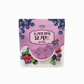 [자연원] 통과일 범벅 요거트 블루베리(냉동) 500g, 1개