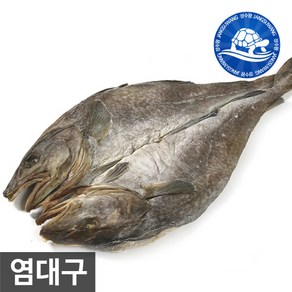 장수왕 촉촉한 염대구 소자(45-47cm내외) 1마리 중부시장도매 반건조 염대구포, 1개