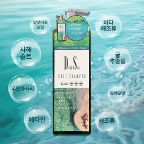 [DS솔트바디워시] 이스라엘 천연 사해솔트바디워시 750ml 대용량, 1개