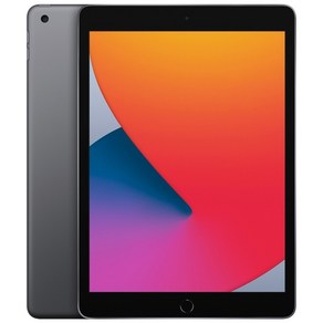 Apple iPad 8세대, 스페이스 그레이, 128GB, Wi-Fi+Cellula