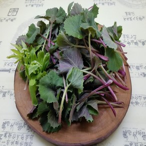 [산지농가직송]충남서산 자연산 야생 머위잎1kg, 자연산 야생머위잎1kg, 1개
