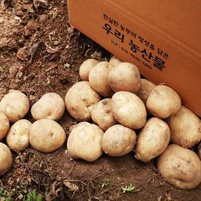 세상모든농부 포슬포슬 맛있는 감자 햇감자 수미감자 카스테라 홍감자, 10kg, 1개, 대(찜용)