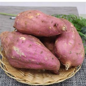 햇고구마(왕못난이) 10kg 1박스 자연대로팜웨이, 햇고구마(왕못난이)10kg