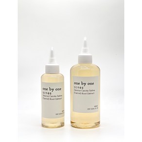 원바이원 유기농 당근추출물 원액 150ml 300ml, 1개