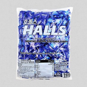 호올스 멘토립터스 멘톨향 캔디, 980g, 1개