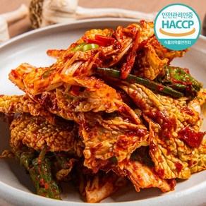 맛꾼 [HACCP 인증] 국내산 아삭달달한 전라도 배추겉절이 전라도김치, 5kg, 1개