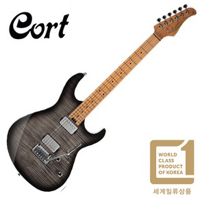 콜트 일렉기타 CORT G290 FAT II TBB, *, 1개