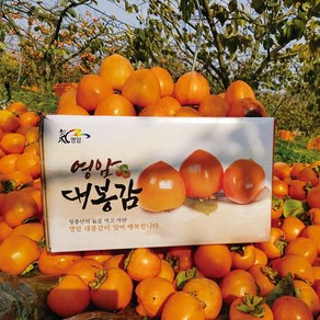 영암 대봉감 4.5kg (11~15과) / 곶감용 홍시용 대봉