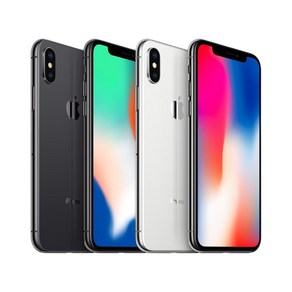 아이폰X iPhoneX 64GB 256GB 공기계 자급제, 스페이스그레이