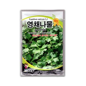 모칸도 세계 영채나물(큰다닥냉이) 씨앗 20g