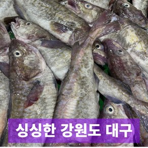 일등농수산 산지직송 싱싱한 강원도 주문진 급냉 대구, 1개, 2kg (3~4미)