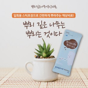 트리앤 식물영양제 분갈이흙 친환경 살충제, 1개