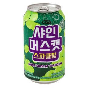 천지 샤인머스캣 스파클링 350ml 24입, 24개