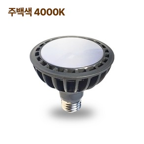 PAR30 주백색 4000K LED PAR30 파30램프 파램프