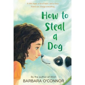 How to Steal a Dog (Papeback)