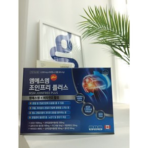 무릎관절건강 MSM1 500mg 엠에스엠 조인프리 플러스 글루코사민 180정 (6개월분), 1개