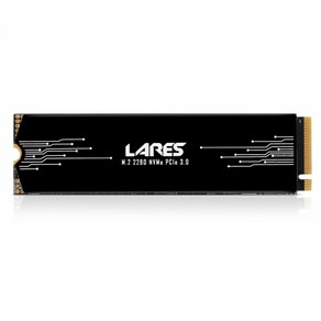 LEVEN JP600 LARES M.2 NVMe (1TB), 1TB