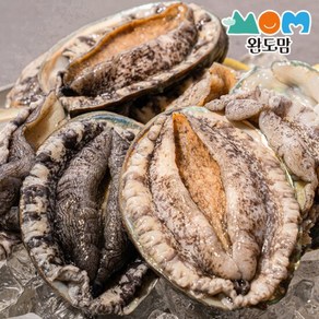 (완도맘) 완도 활 전복 1kg(9-10미) 선물포장 국내양식산, 선택:보자기포장