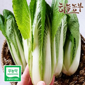 하늘농부 친환경 얼갈이, 1봉, 300g