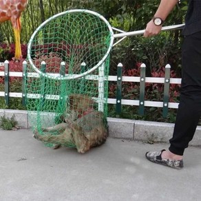 포획망 유기견 그물망 고양이 포획 뜰채 강아지 구조, 교체망 한 장, 1개