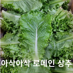 길룡이네 로메인 상추 2kg 4kg 국내산