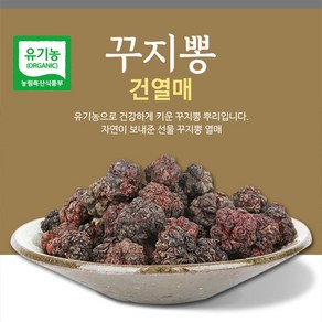 친환경농법으로 재배한 건강한 꾸지뽕, 1개, 200g