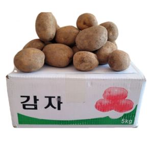 두백감자 강원도 고랭지 중상 3kg(소)5kg 10kg 20kg, 1박스, 5kg