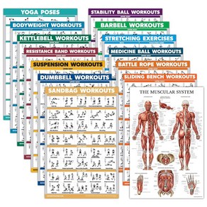 운동 포스터 세트 덤벨 스트레칭 바디웨이트 (14개)