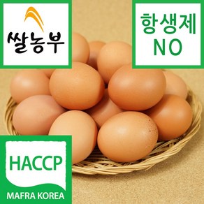 쌀농부 (국산) 계란(일반란) 10알 (행복한 닭이 낳은 계란 입니다)