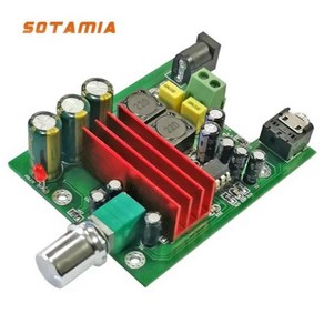 SOTAMIA 100W 파워 앰프 오디오 모노 서브우퍼 풀 레인지 미니 디지털 사운드 스피커 TPA3116D2, 02 Subwoofe with case