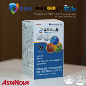 루테인 옵테인에센셜 G 3개월분 눈 전문 영양제, 45mg, 3개