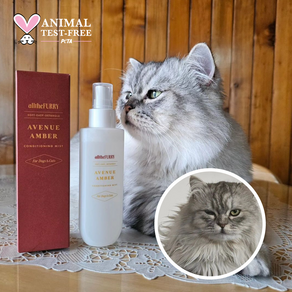 올더퍼리 엉킨털 디탱글 미스트 강아지 고양이 피모 150ml 애견 보습 컨디셔너, 150g, 1개