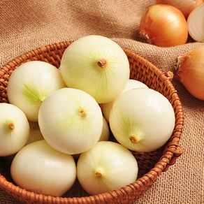 [푸르젠] 아삭한 국내산 양파, 1개, 3kg (특 180g 이상)