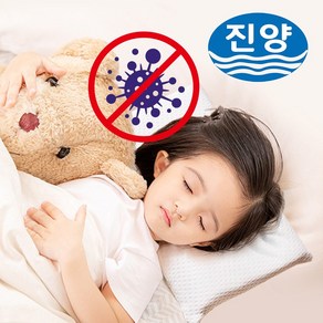 진양 유아 아동 어린이 황토 메모리폼 베개 국산 만2~8세, 유아동피치그린