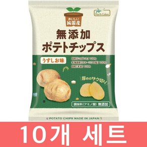 노스카라스 국산 포테토칩스 우스시오, 55g, 10개